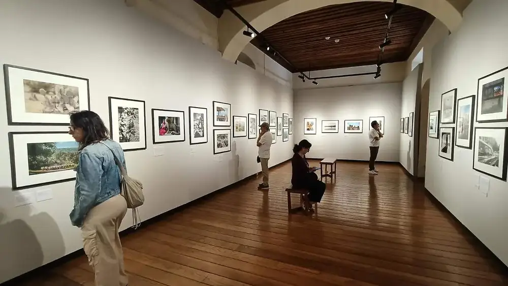 Ted Davis Galería de Fotografía — 2