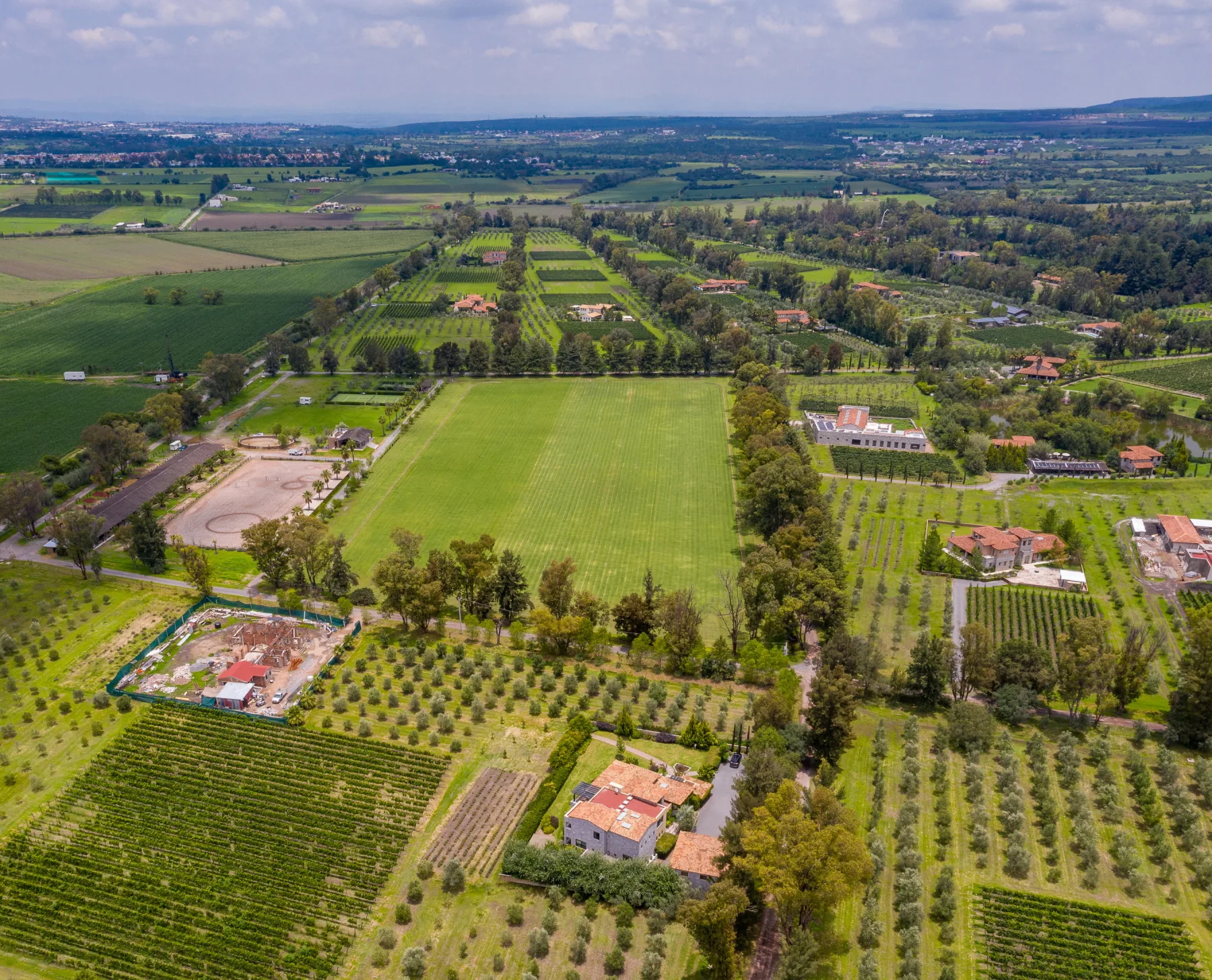 Viñedos — 2